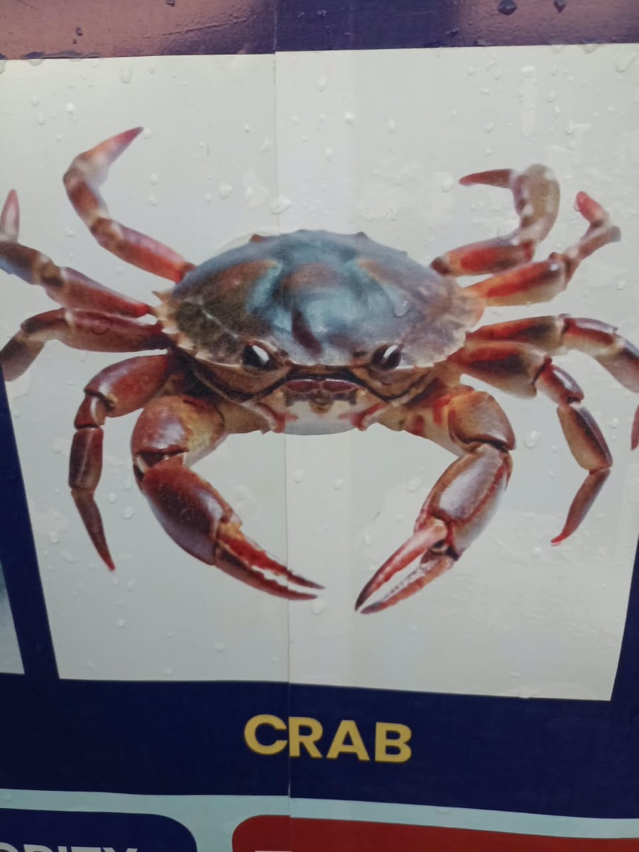 Frozen Crab