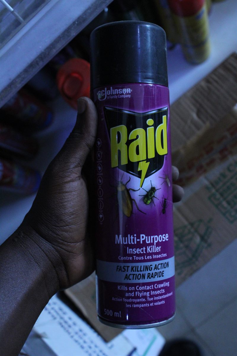 Raid Multi-Purpose Insect Killer